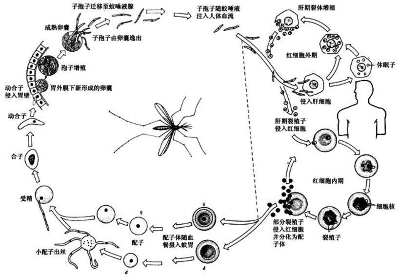 1.jpg_看图王.jpg